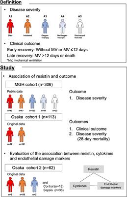 Resistin Associated With Cytokines and Endothelial Cell Adhesion Molecules Is Related to Worse Outcome in COVID-19